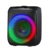 Karaoke Machine for Adults 30W 6.5 in Portable Bluetooth Speaker 2 Wireless Mic