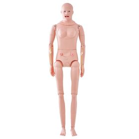 VEVOR Nursing Training Manikin, Male/Female Life Size Demonstration Human Manikin for Nursing Training, Multifunctional Education Teaching Model