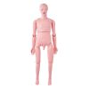 VEVOR Nursing Training Manikin, Male Life Size Demonstration Human Manikin for Nursing Training, Multifunctional Education Teaching Model Supplies