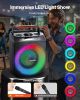 Karaoke Machine for Adults 30W 6.5 in Portable Bluetooth Speaker 2 Wireless Mic