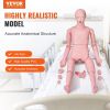 VEVOR Nursing Training Manikin, Male Life Size Demonstration Human Manikin for Nursing Training, Multifunctional Education Teaching Model Supplies