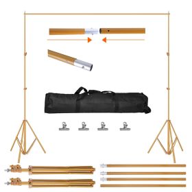 6.5 x 10ft Photo Video Studio Backdrop Background Stand Adjustable Heavy Duty Photography Backdrop Support Stand Set with Carrying Bag Clamps (Color: Golden)